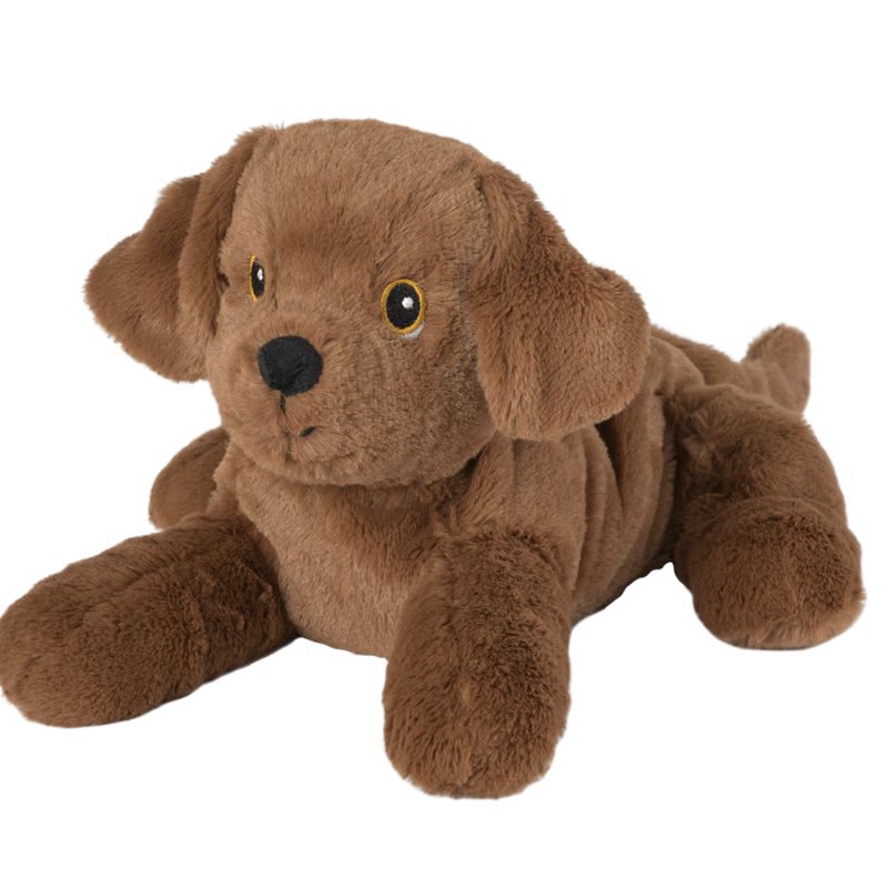 Labrador Welpe
