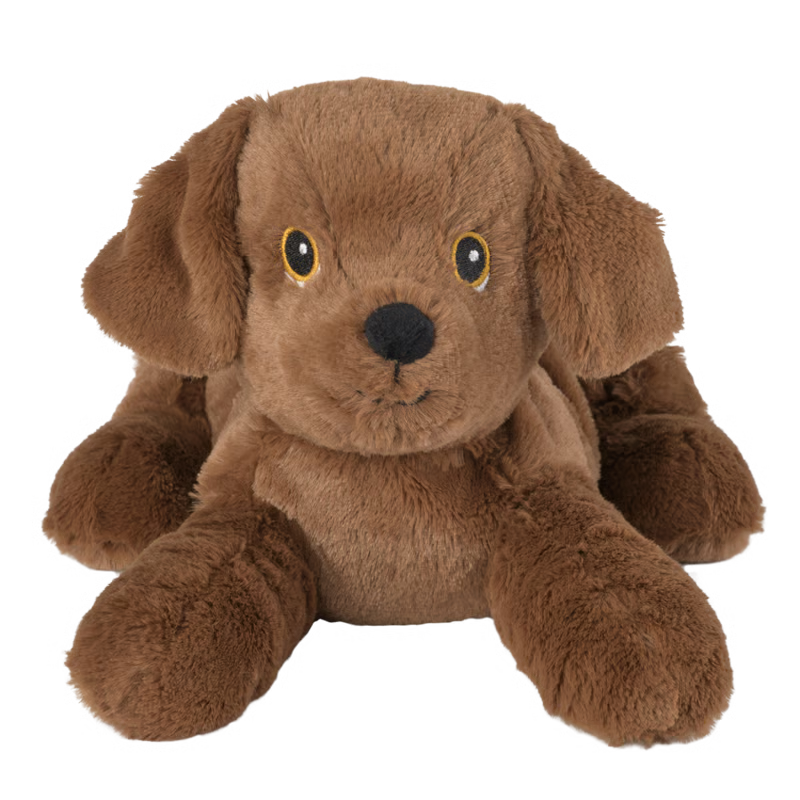 Labrador Welpe