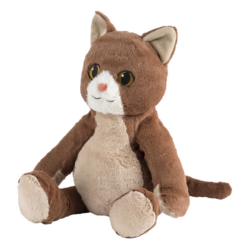 Katze