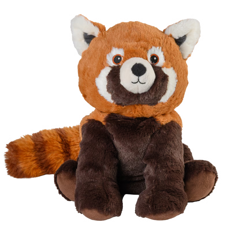 Roter Panda