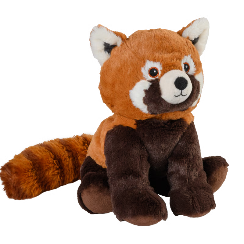Roter Panda