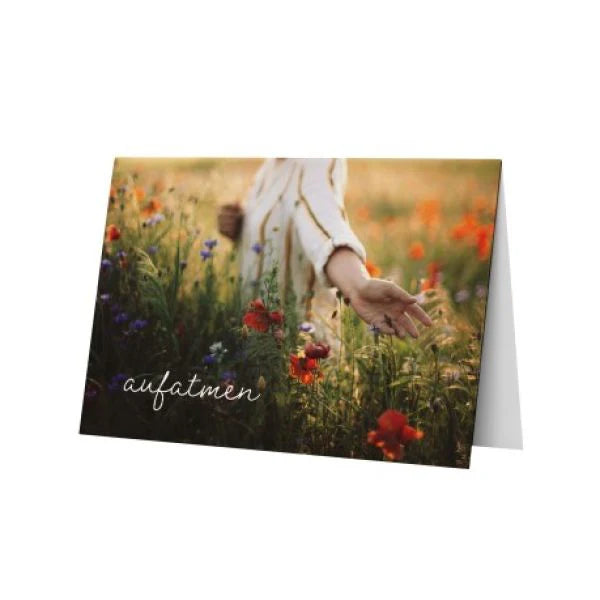 Blessings 6 Faltkarten mit Bibelversen