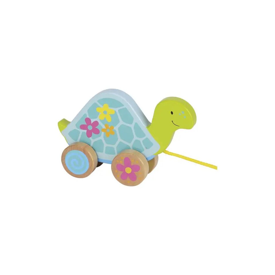 Ziehtier Schildkröte