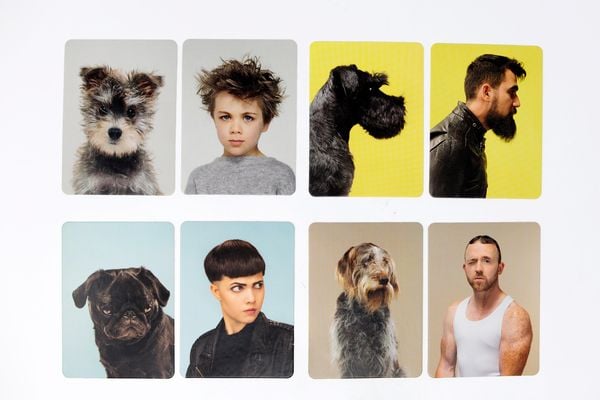 Siehst du aus wie dein Hund?