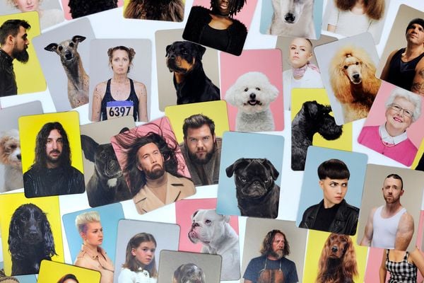 Siehst du aus wie dein Hund?